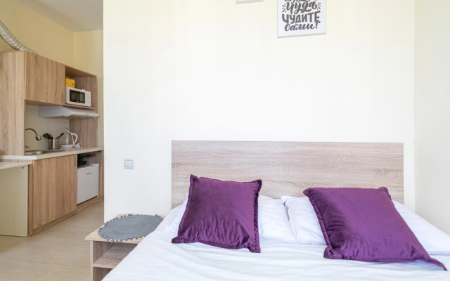 Апартаменты в ЖК Царская Площадь 383-5