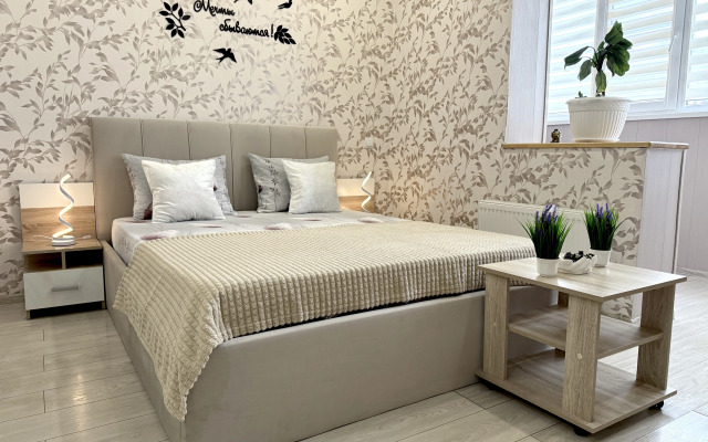 Evro Studiya v Rayone Parka Galitskogo Apartments