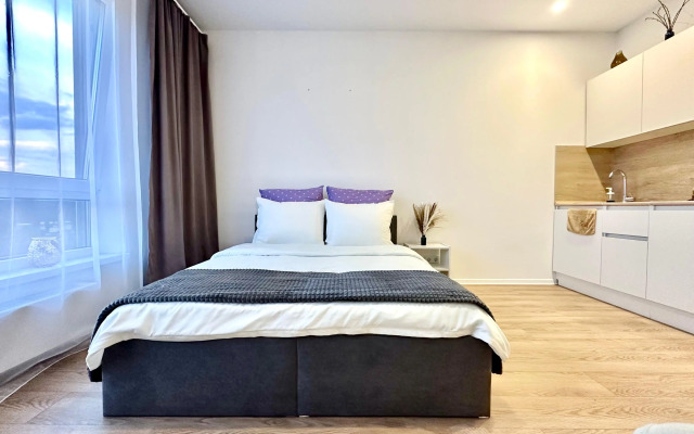 Апартаменты Истоман Студия вид на пруд