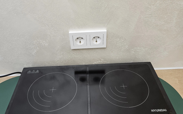 Квартира Зелёная студия