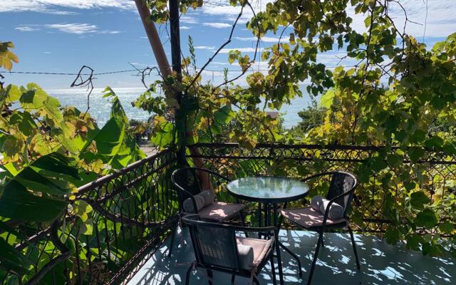 Private House Agava