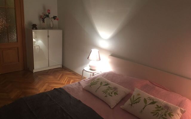 Апартаменты Бауманская