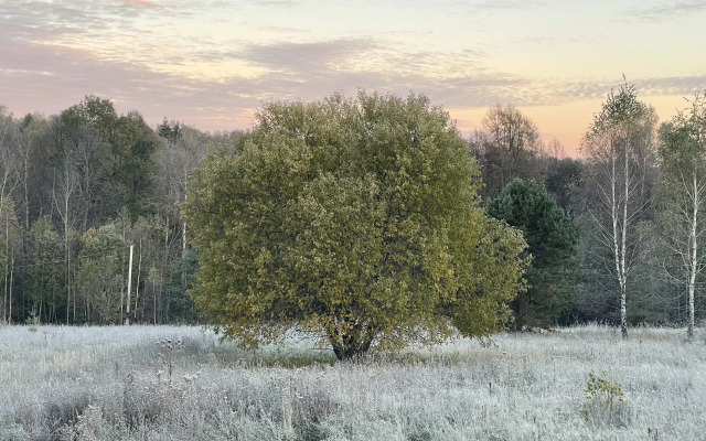 Частный дом Загородный коттедж