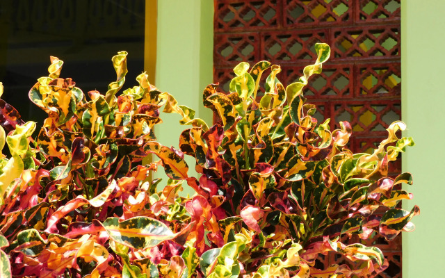 Casa de Huéspedes Yoli By Rotamundos