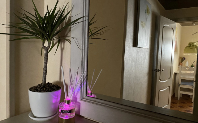 2-kh komnatnye apartamenty Klassik na Naberezhnoy Flat