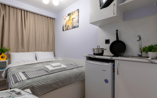 Апартаменты на Суворовском Проспекте (1)