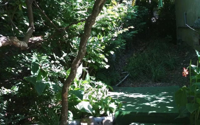 Pod Palmoy Guest House