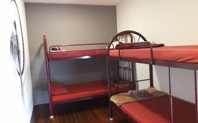 Quiik Cat Mini-Hotel