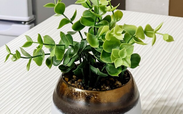 Квартира на Борисова 42