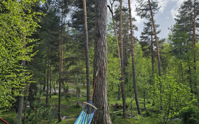 Sherwood Arkhyz Chalet Recreation Camp