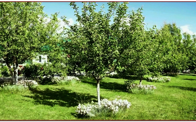 Dvoryanskoe Gnezdo Hotel