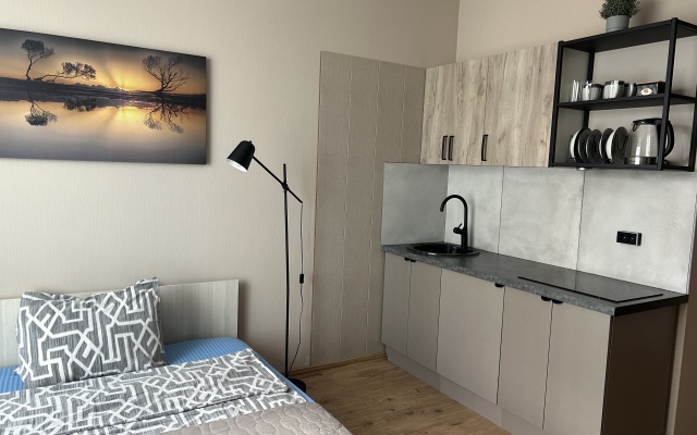 Studia Parnas Apartments