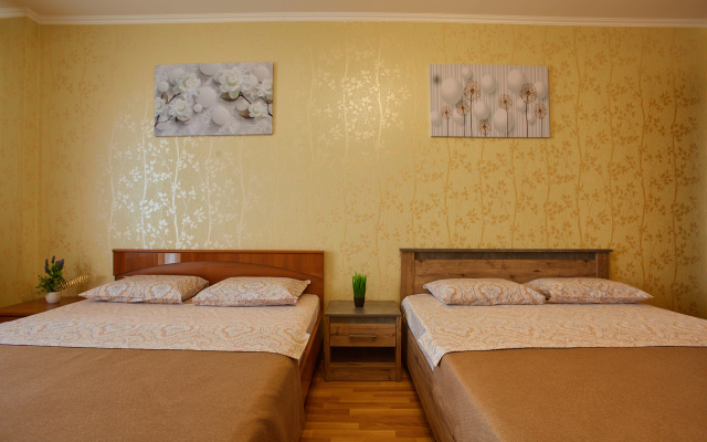 Bolshaya Kvartira S Vidom Na Volgu Apartments