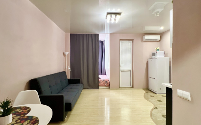 Квартира Студия Большая в Центре Фмр