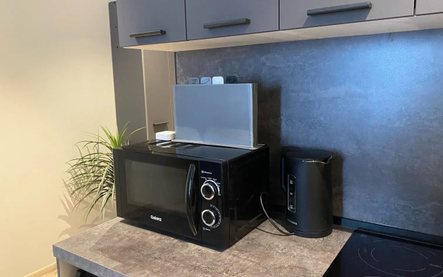 Квартира в Апарт Отеле Ladozhskiy Avenir