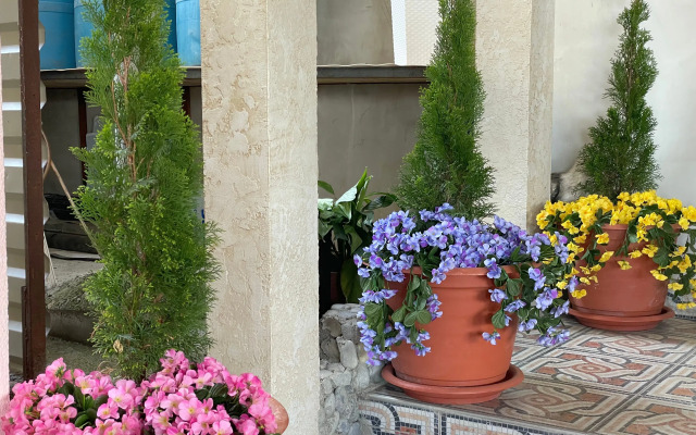 Alla-Roma Guest house