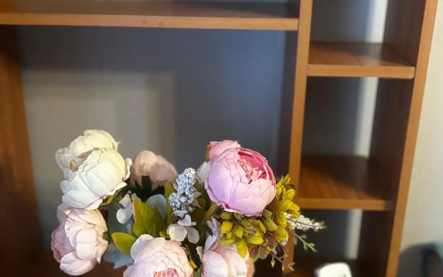 Апартаменты  в центе Рязани