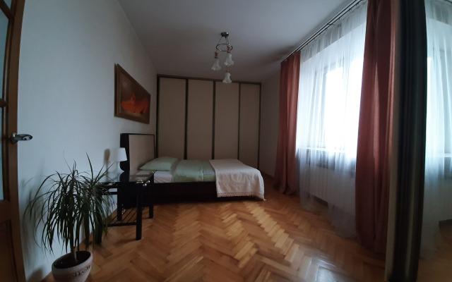 V Tsentre Goroda na Myasnikova Apartments