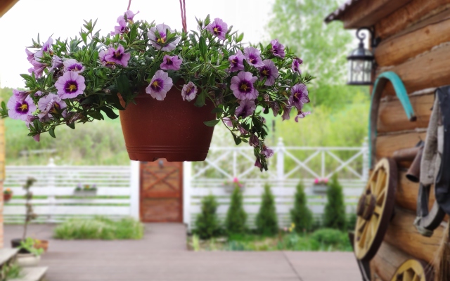 Na Ozerakh Guest House