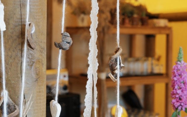 База отдыха Торополис