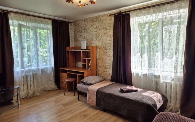 V Tsentre Pushkino Na Turgeneva Flat