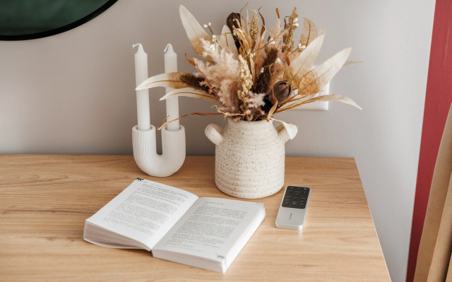 Квартира с проектором Токио в центре Ярославля