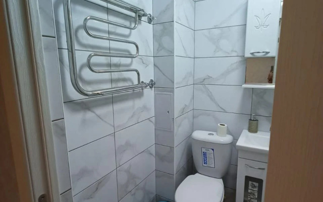 Tsentr Apart Apartments