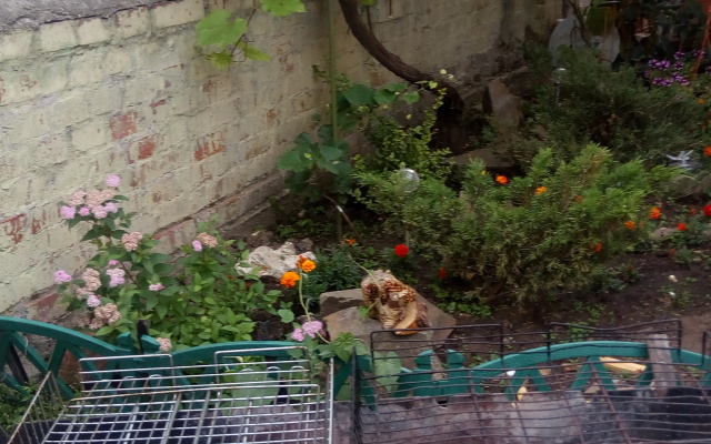 Гостевой Дом Максимилиан