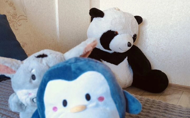 Квартира 502 на улице Восточная 13