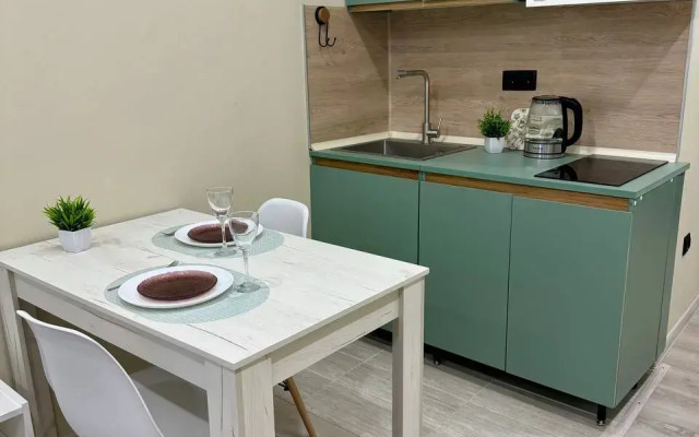 Kvartira-studiya 30 m2 Flat
