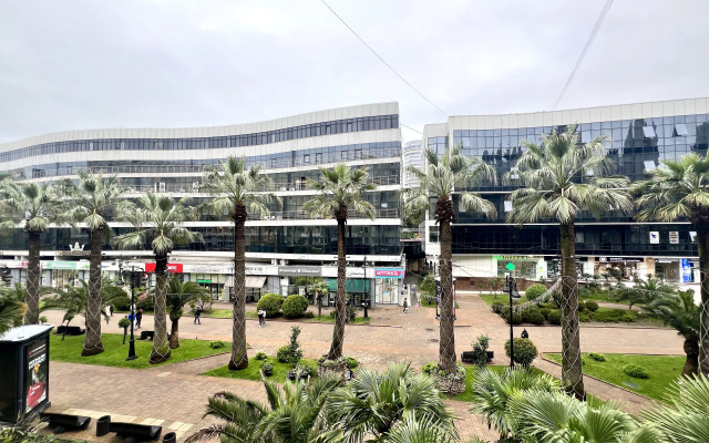 Dvuhkomnatnaya v tsentralnom raione Sochi Flat 1