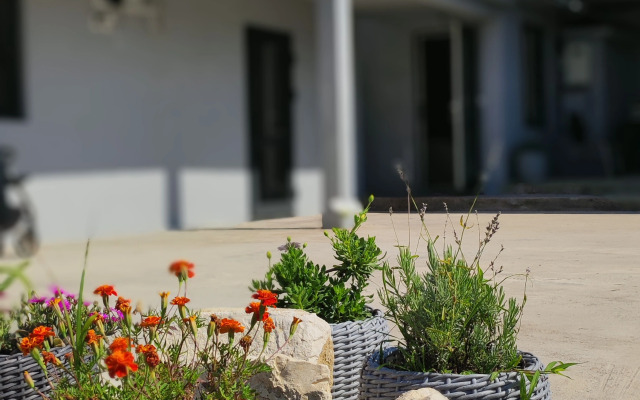 Fenix Guest House