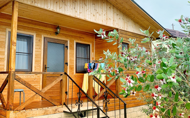 Divny Sad Guest House