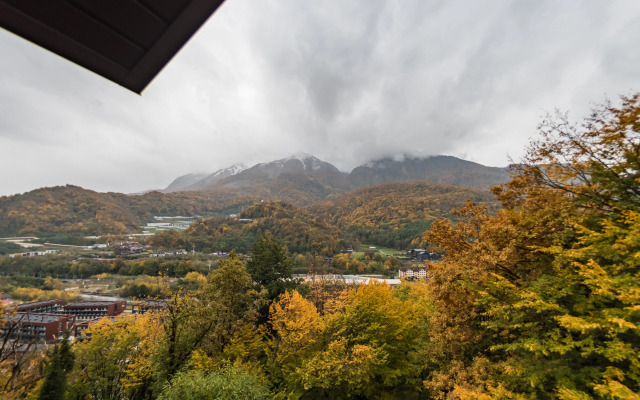 Вилла в Красной Поляне до 12 гостей