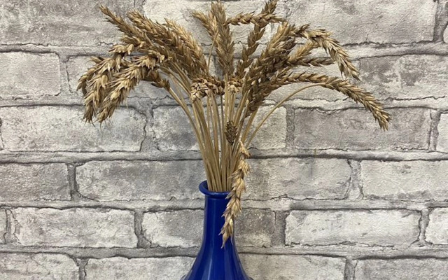 Квартира на Улице Бакунина, 18