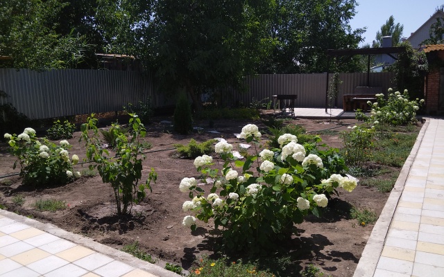 Viktoriya Guest House