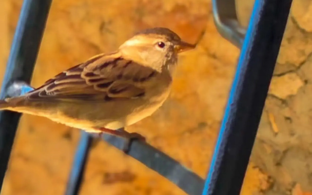 Апартаменты Customs House