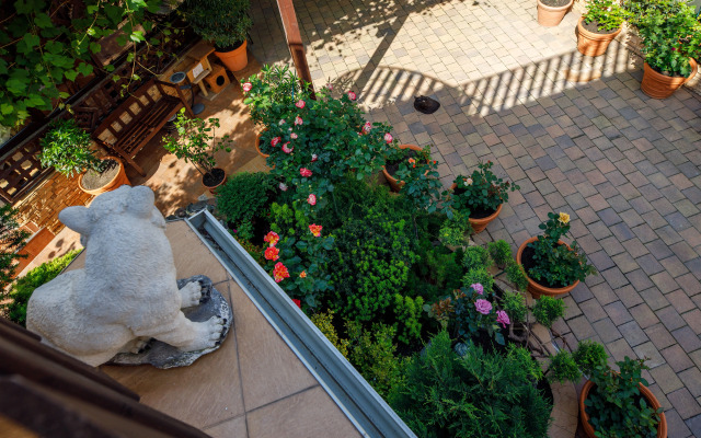 Loris Guest House