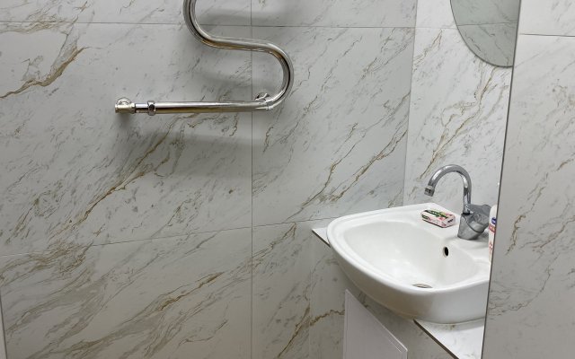 Apartamenty V Tsentralnom Dvorike  Zelenogradska Flat