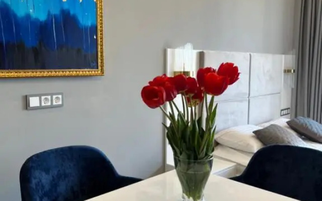 Апартаменты Акваделюкс с видом на город