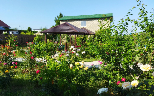 Dobryi Bobr Mini-Hotel