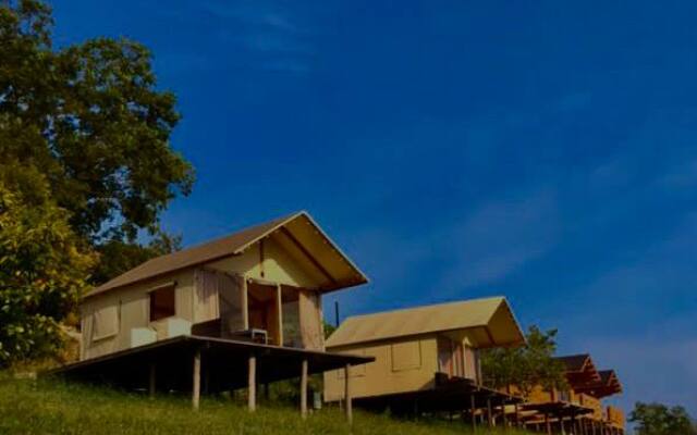 Druzhba Glamping