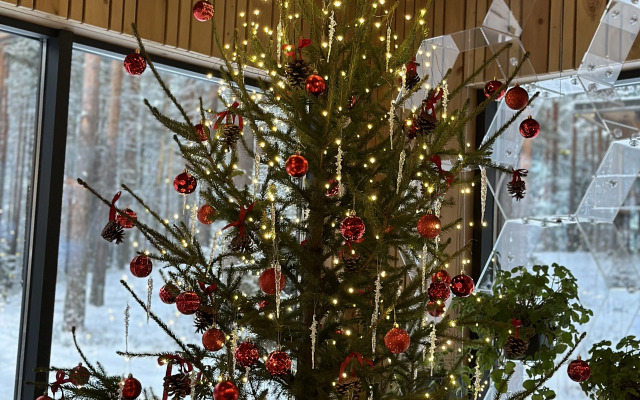 Отель Курорт Большое Борково