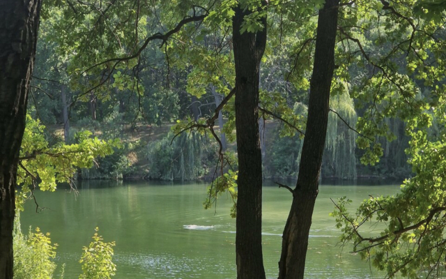 Частный дом Домик в Заярье