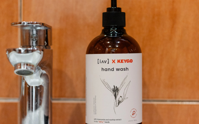 KeyGo 0215 Klyuch K Tsentru Yerevana Apartments