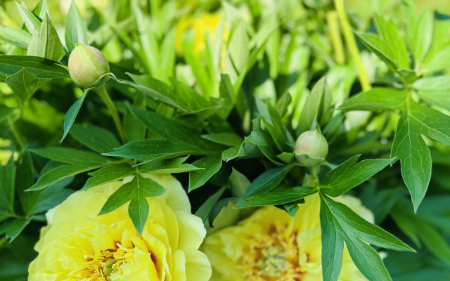 Гостевой дом Мон Плезир Химки