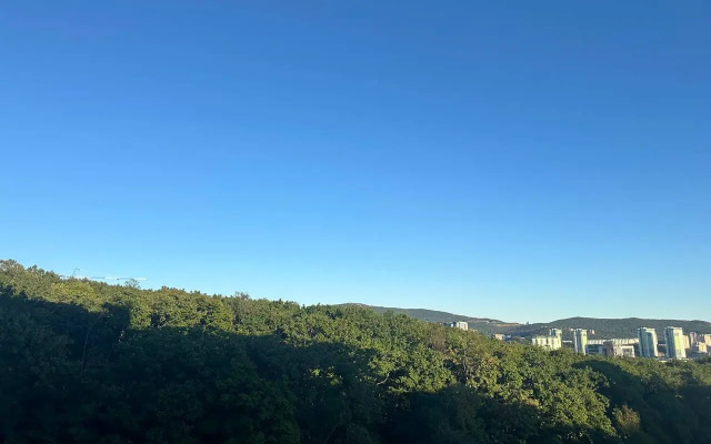 Апартаменты Уютная студия в экологичном районе города