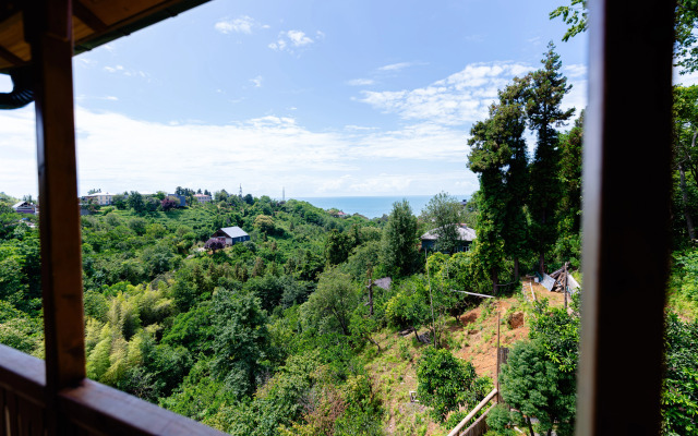 TreeHouse GoldenSeaView TreeHouse Private house