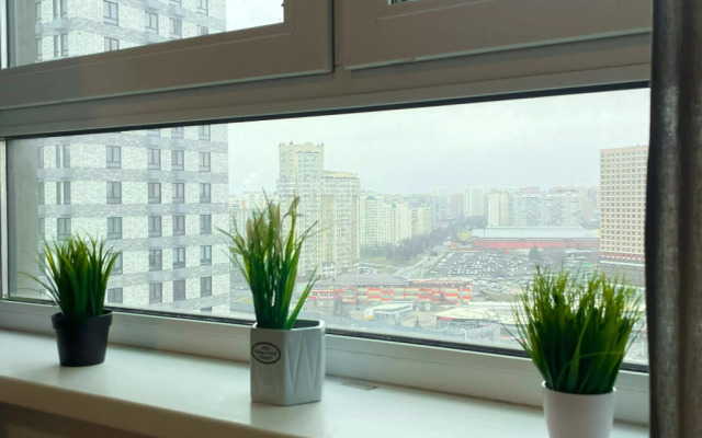 Sunny Days Apartment Orange Park 1 Apartments