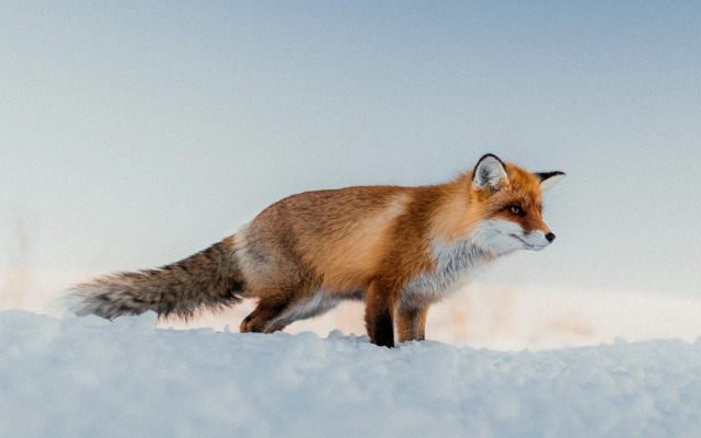 Мини-отель Терь